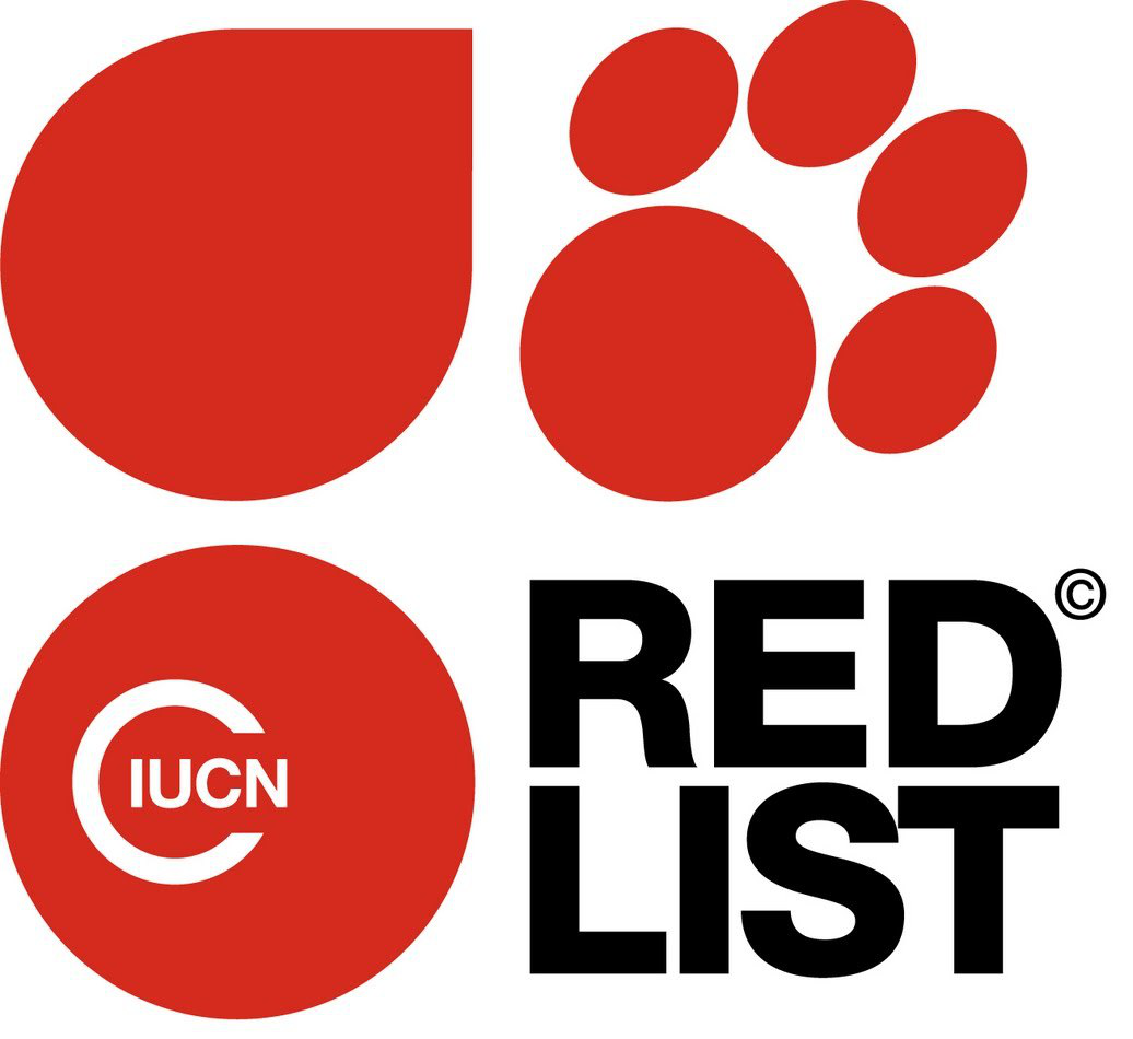 Liste Rouge Européenne NT : Quasi menacée / Liste Rouge Nationale LC : Préoccupation mineure / Liste Rouge Régionale LC : Préoccupation mineure